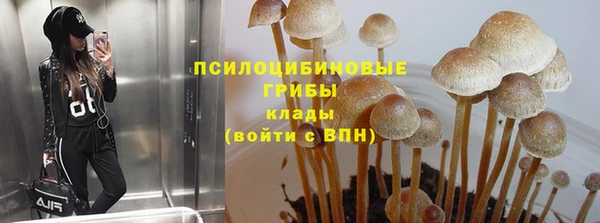 бутират Алексин