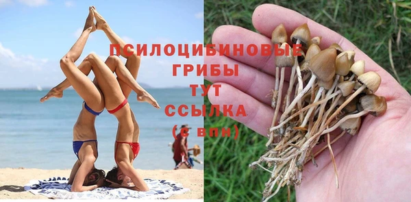 бутират Алексин